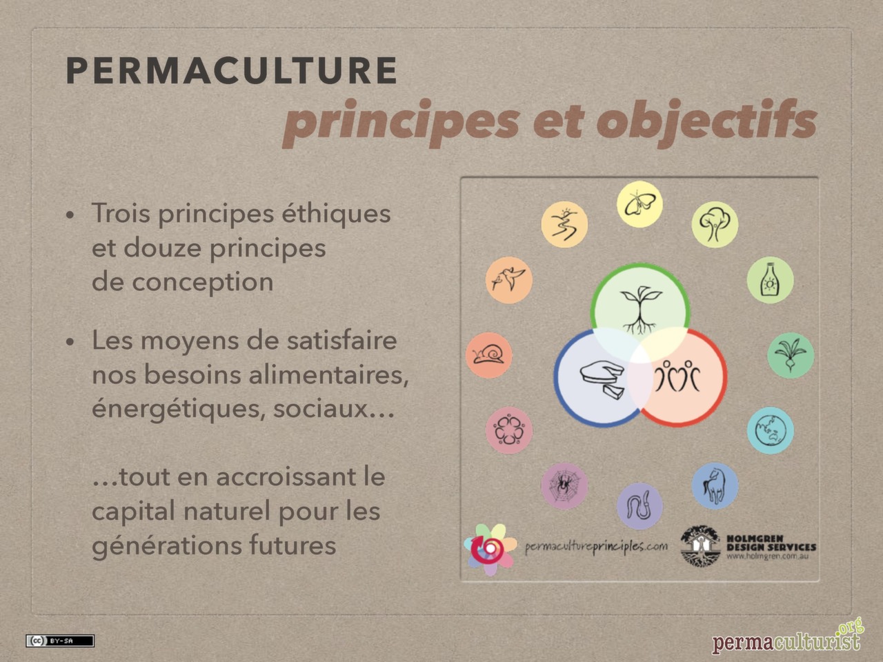 pr-sentation-du-projet-permaculturist