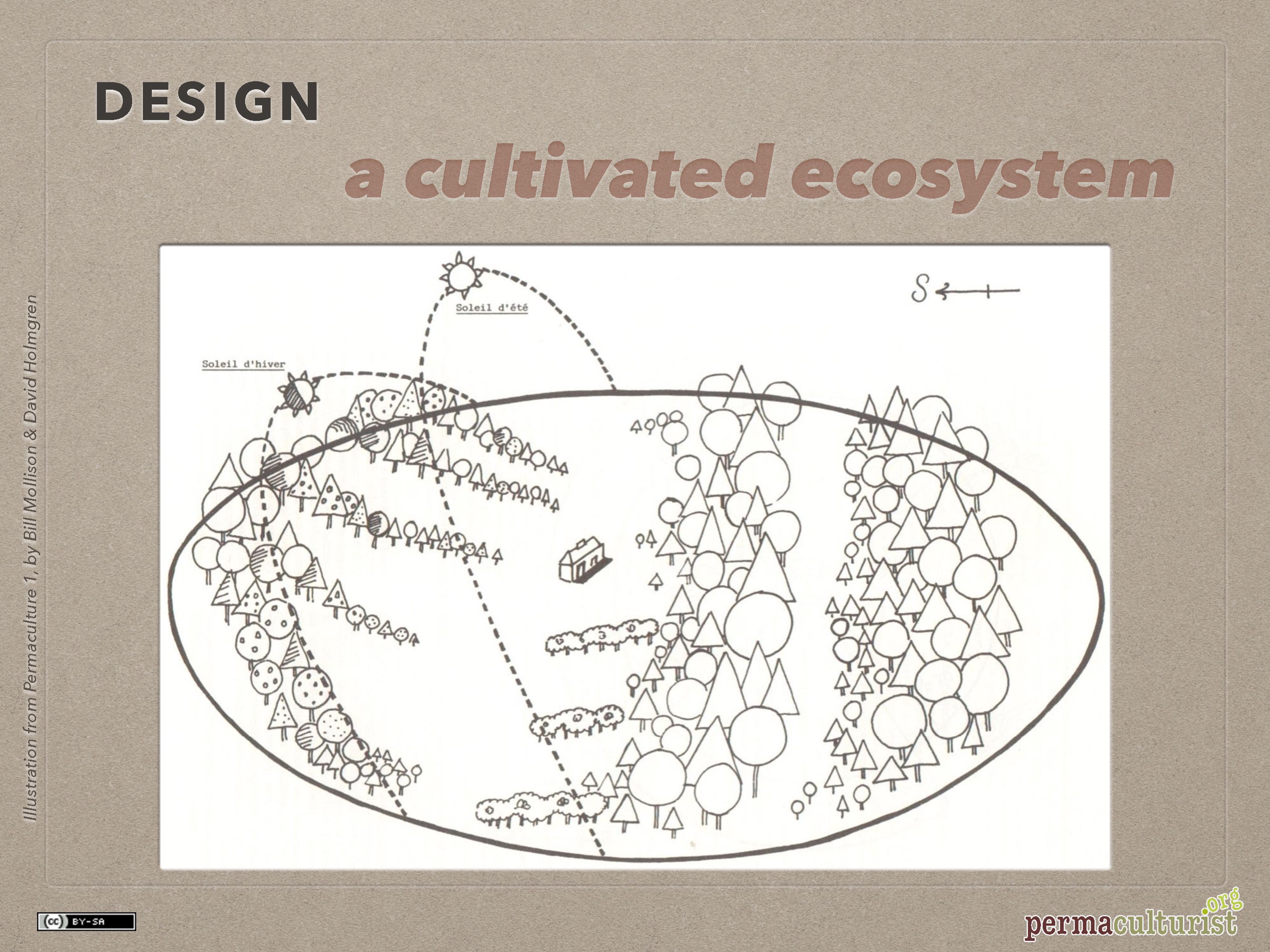 Introduction To Permaculture | Permaculturist.org